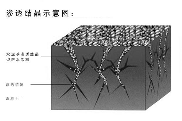 水泥基滲透結晶型防水涂料防水原理圖.jpg