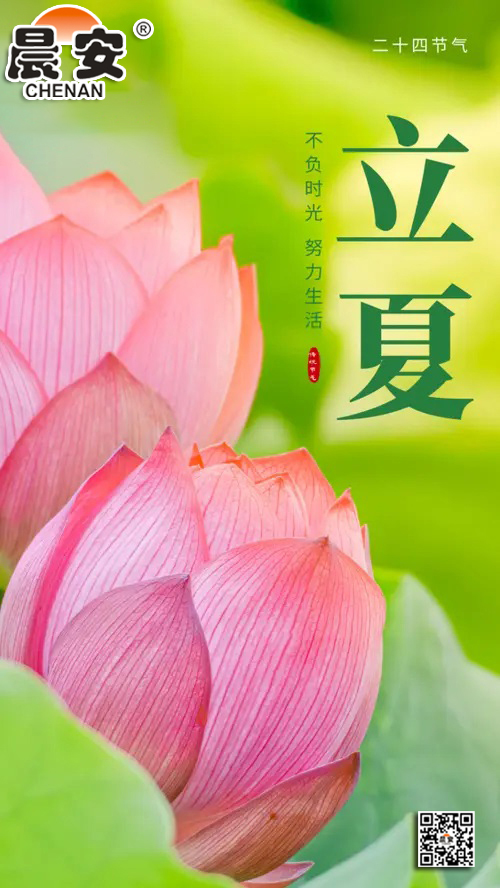 立夏晨安.jpg