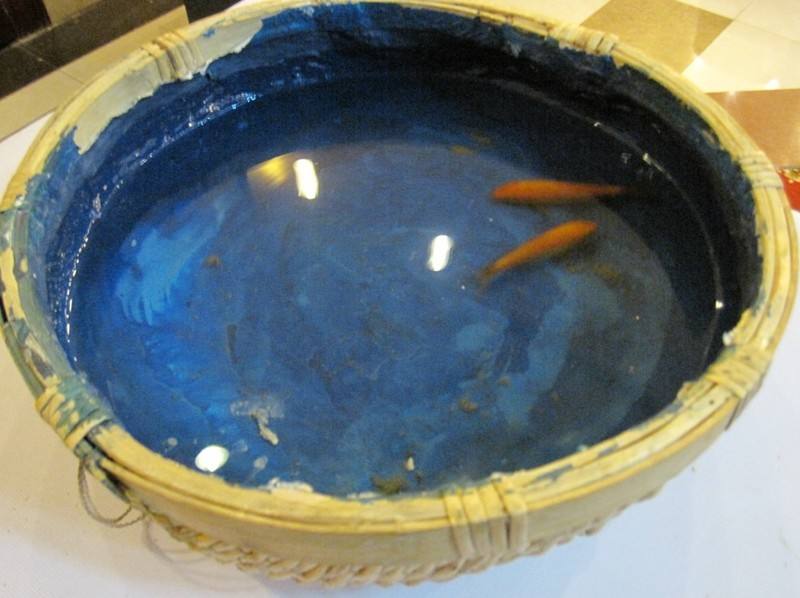 竹籃養(yǎng)金魚