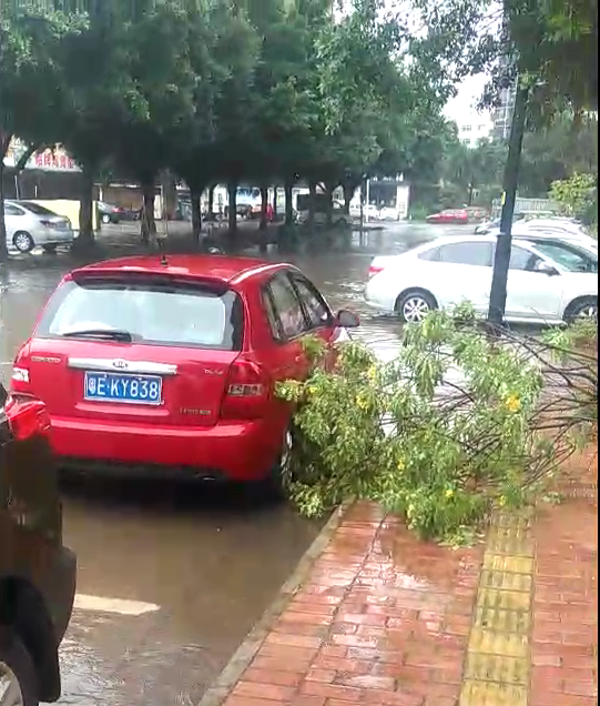 水浸車