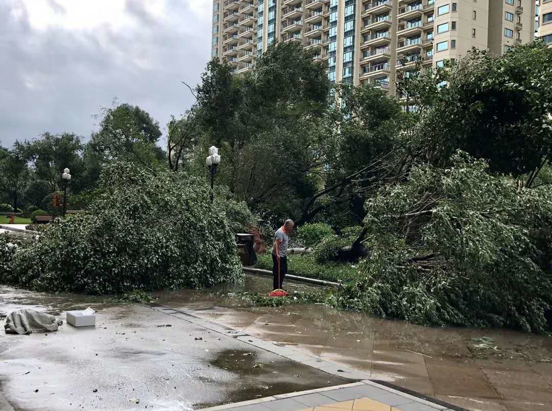 臺風過后